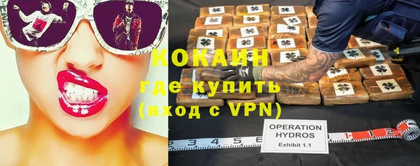 кокс Арсеньев
