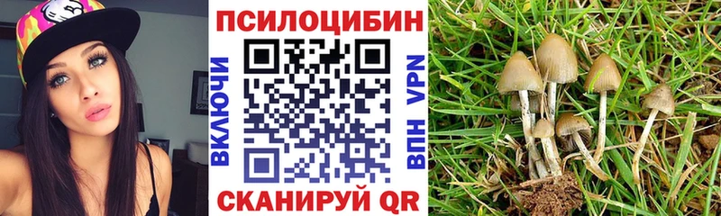 Псилоцибиновые грибы Cubensis  Саянск 